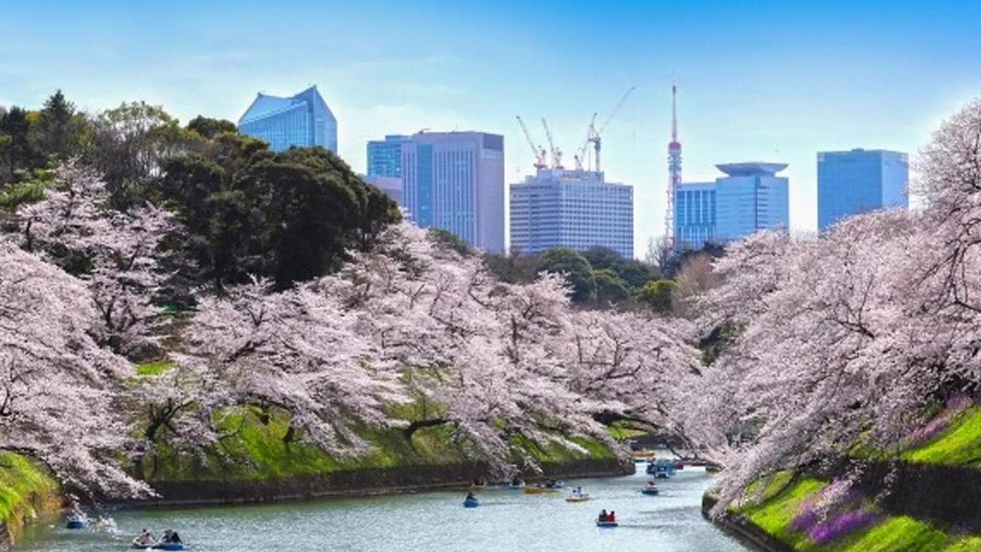 Apa Hotel Suidobashi Ekimae 東京都
